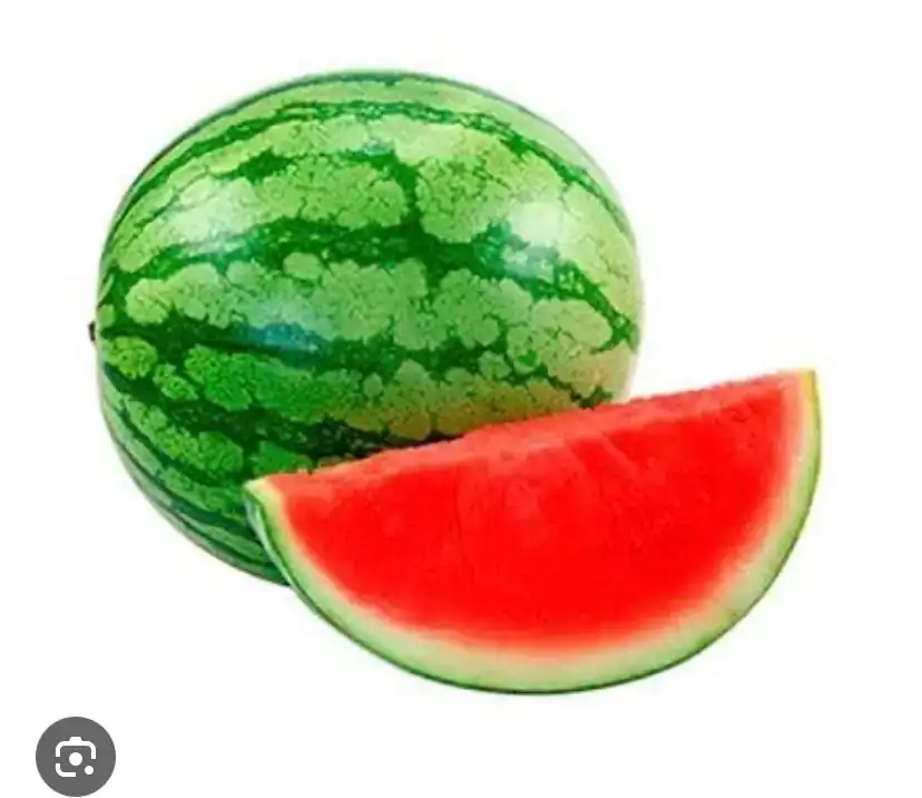 Sandia personal