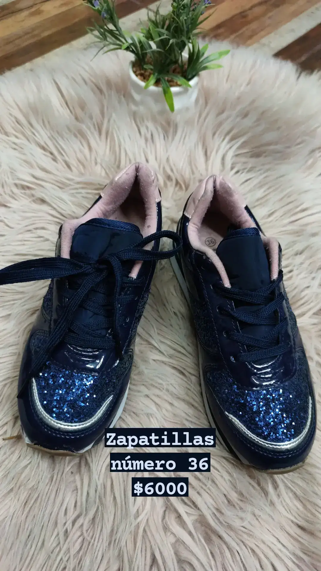 Zapatilla  #36
