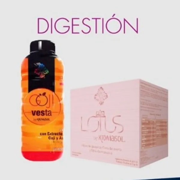 DIGESTIÓN