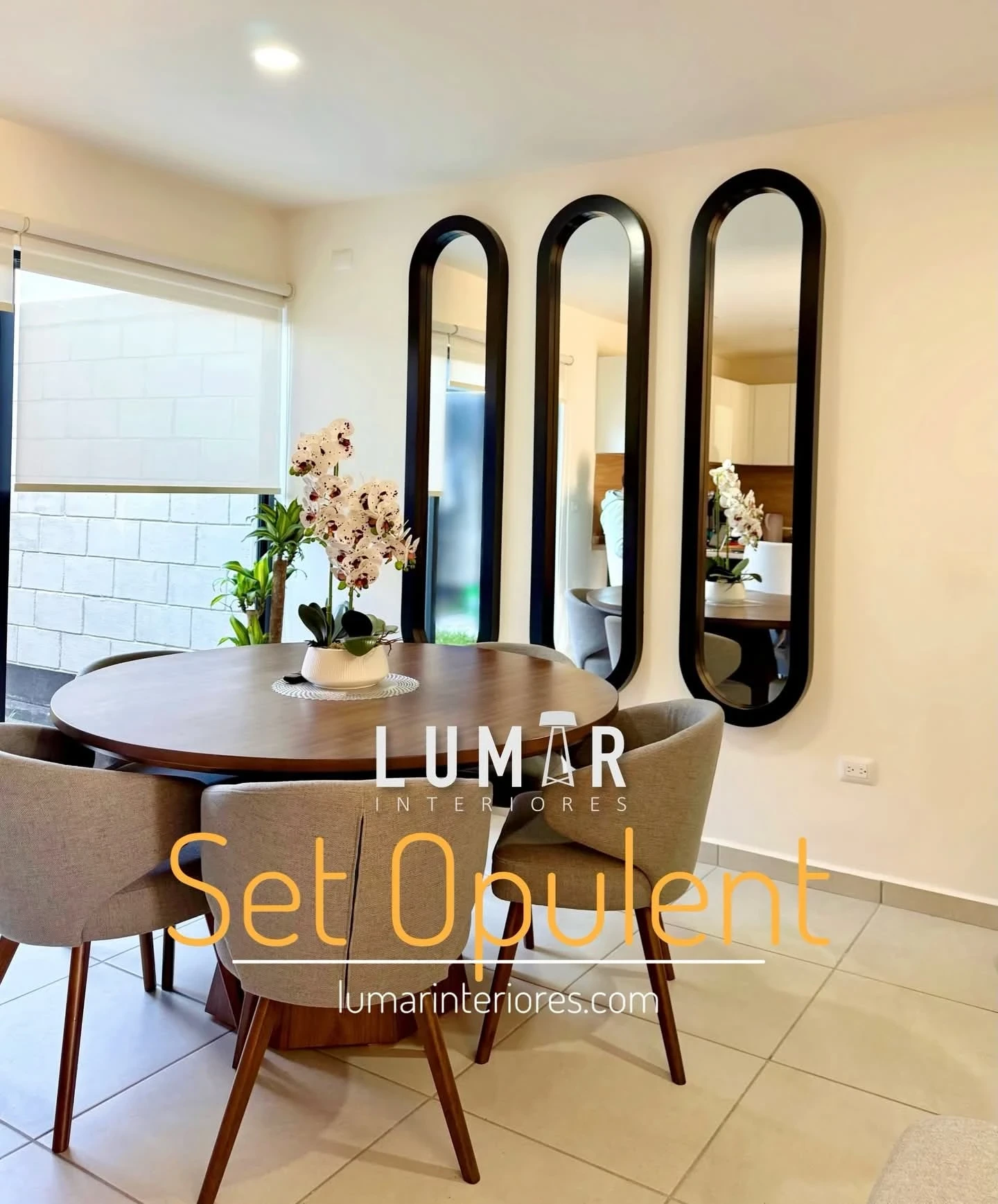Espejos SET OPULENT Ovalados 190X45 Varios Tonos 2