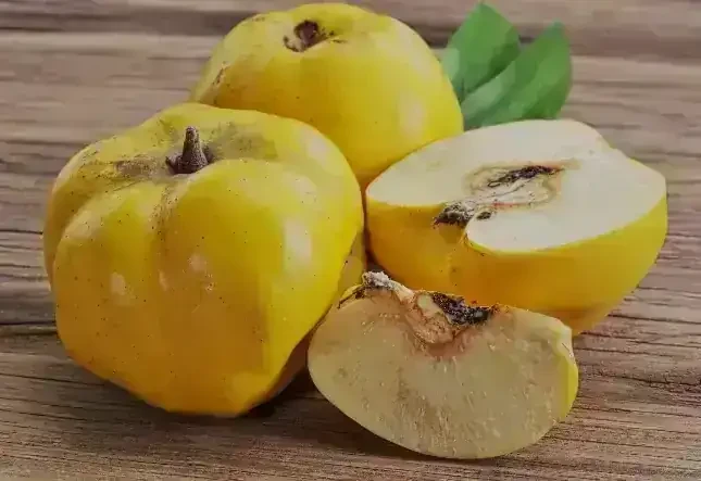 Membrillo