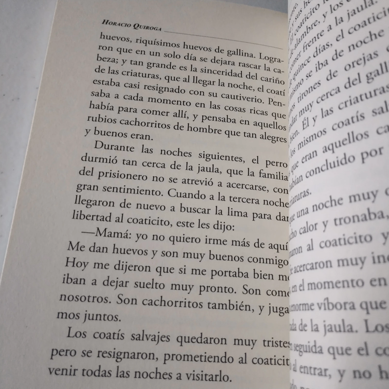 Cuentos de la selva, Horario Quiroga, nuevo  3