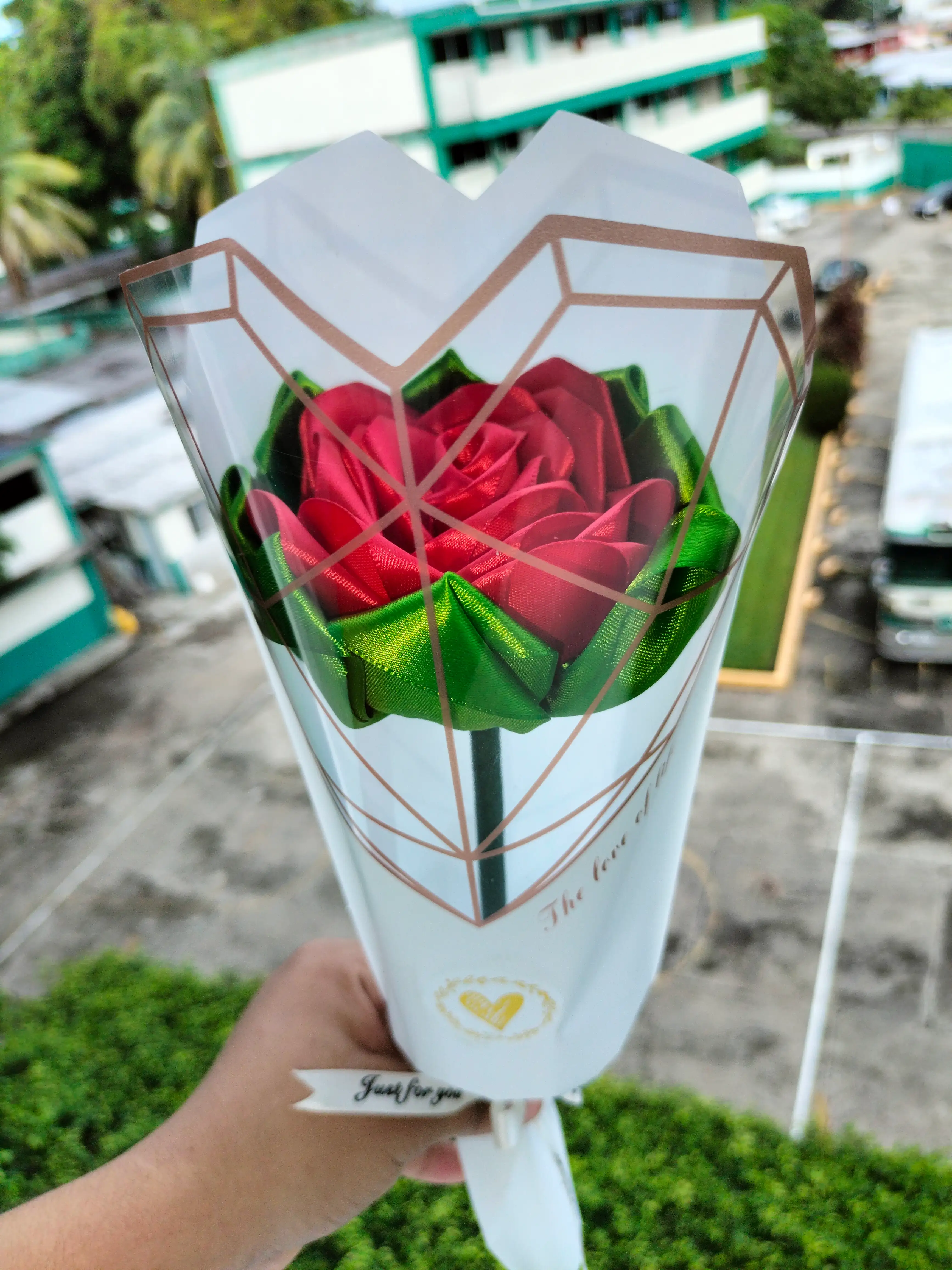 ✨Rosa Eterna✨ 3