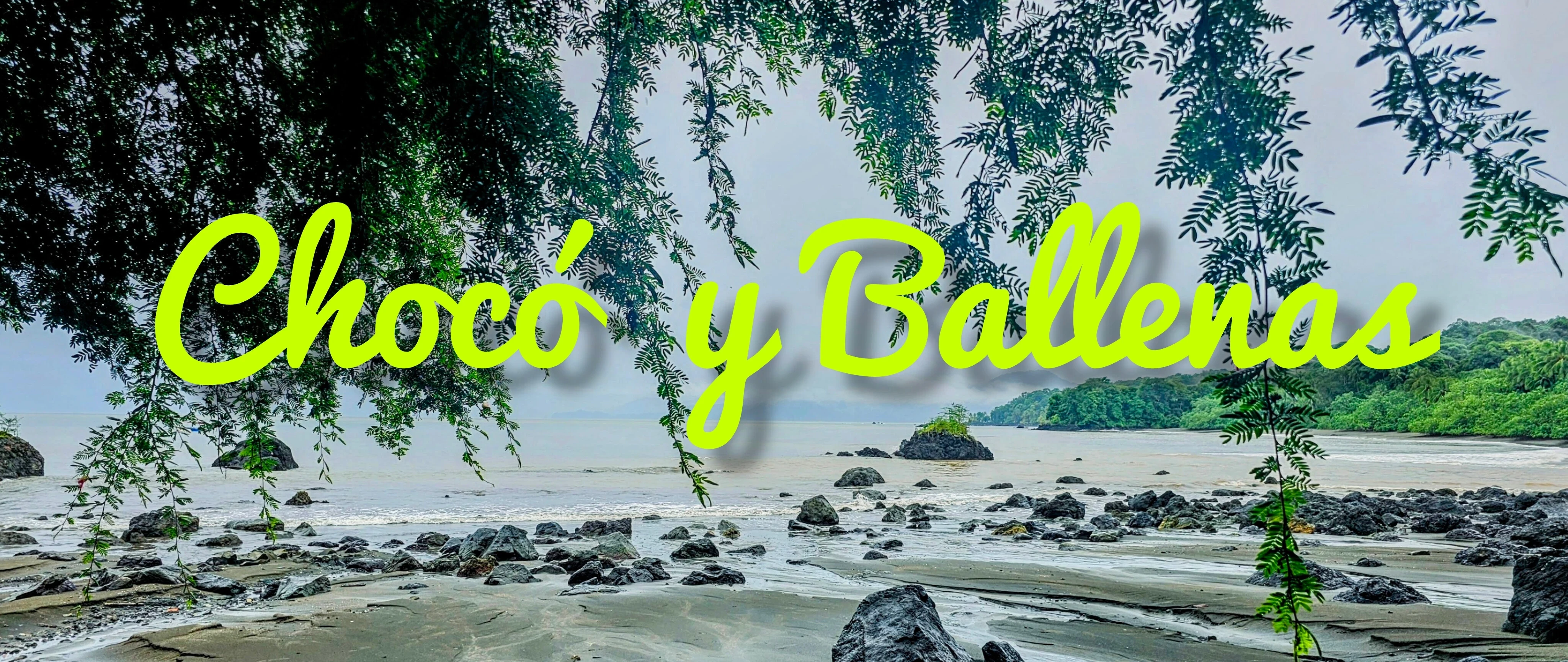 AVISTAMIENTO DE BALLENAS EN NUQUÍ CHOCÓ 2