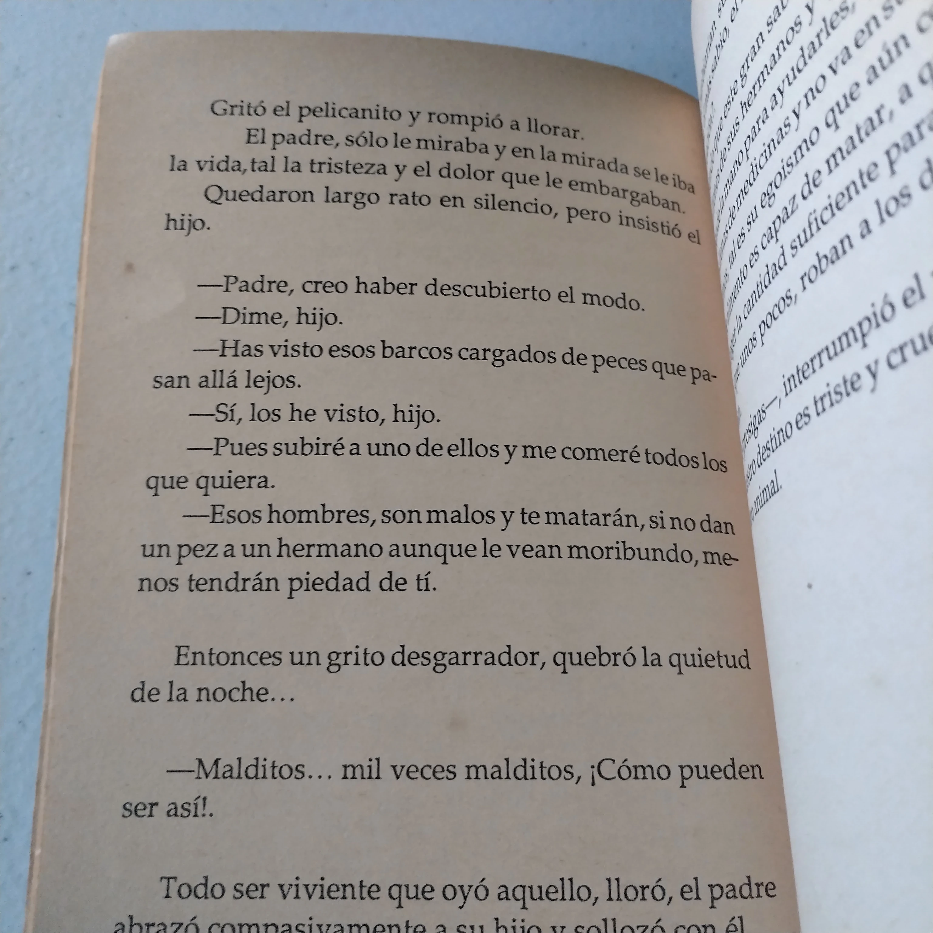 Los hijos de Mariplata Miguel Benavides, usado  3