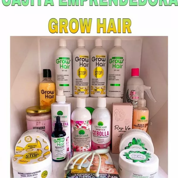 Cajita emprendedora 