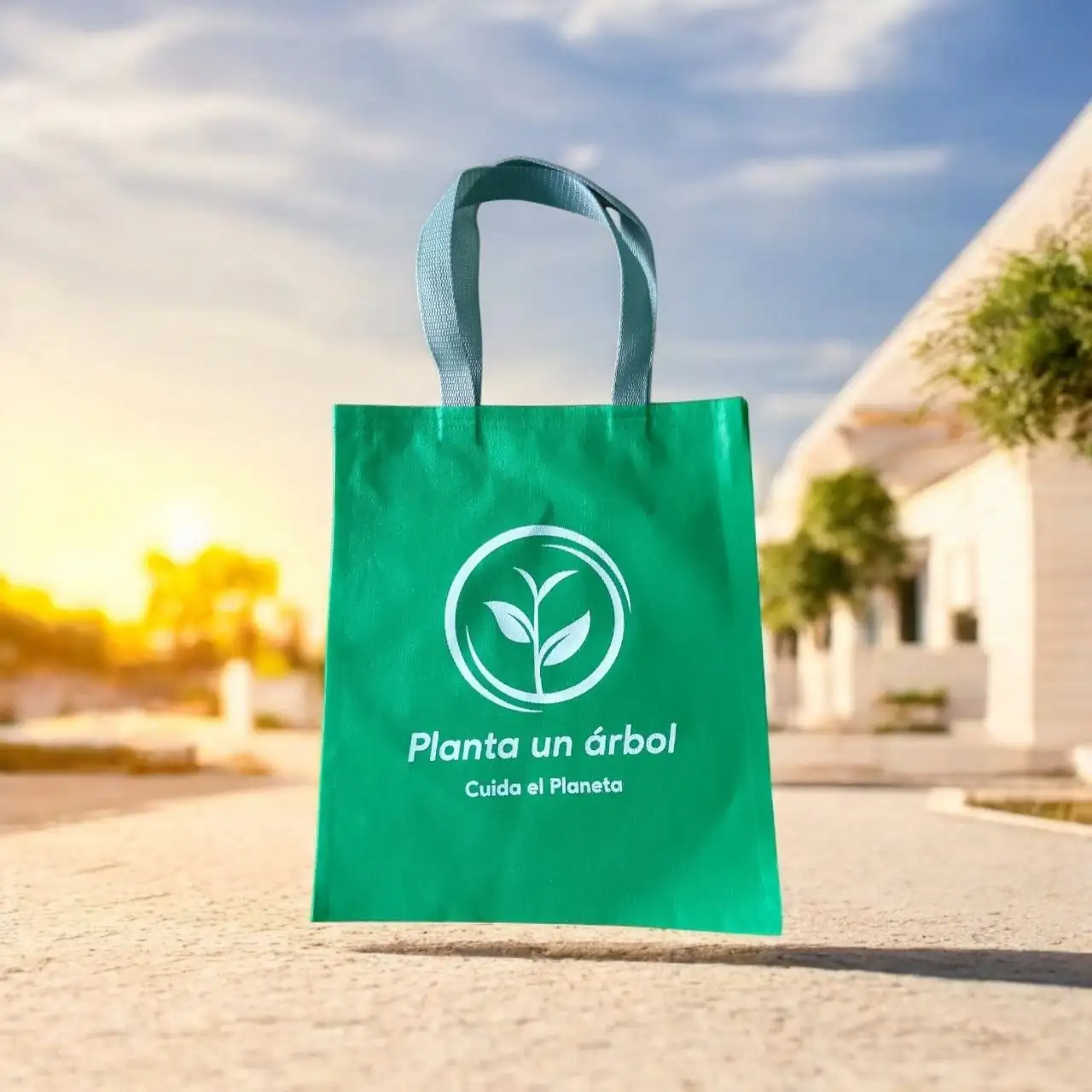 Bolsas pequeñas  2