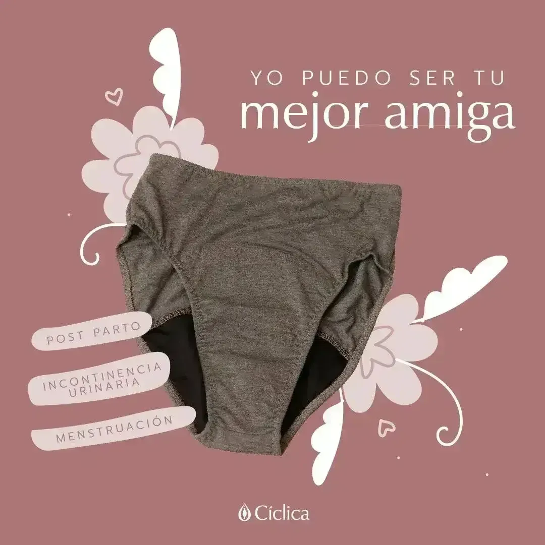Panty menstrual  2
