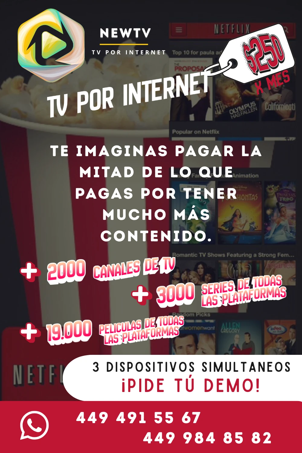 SERVCIO MENSUAL DE TV POR INTERNET 2