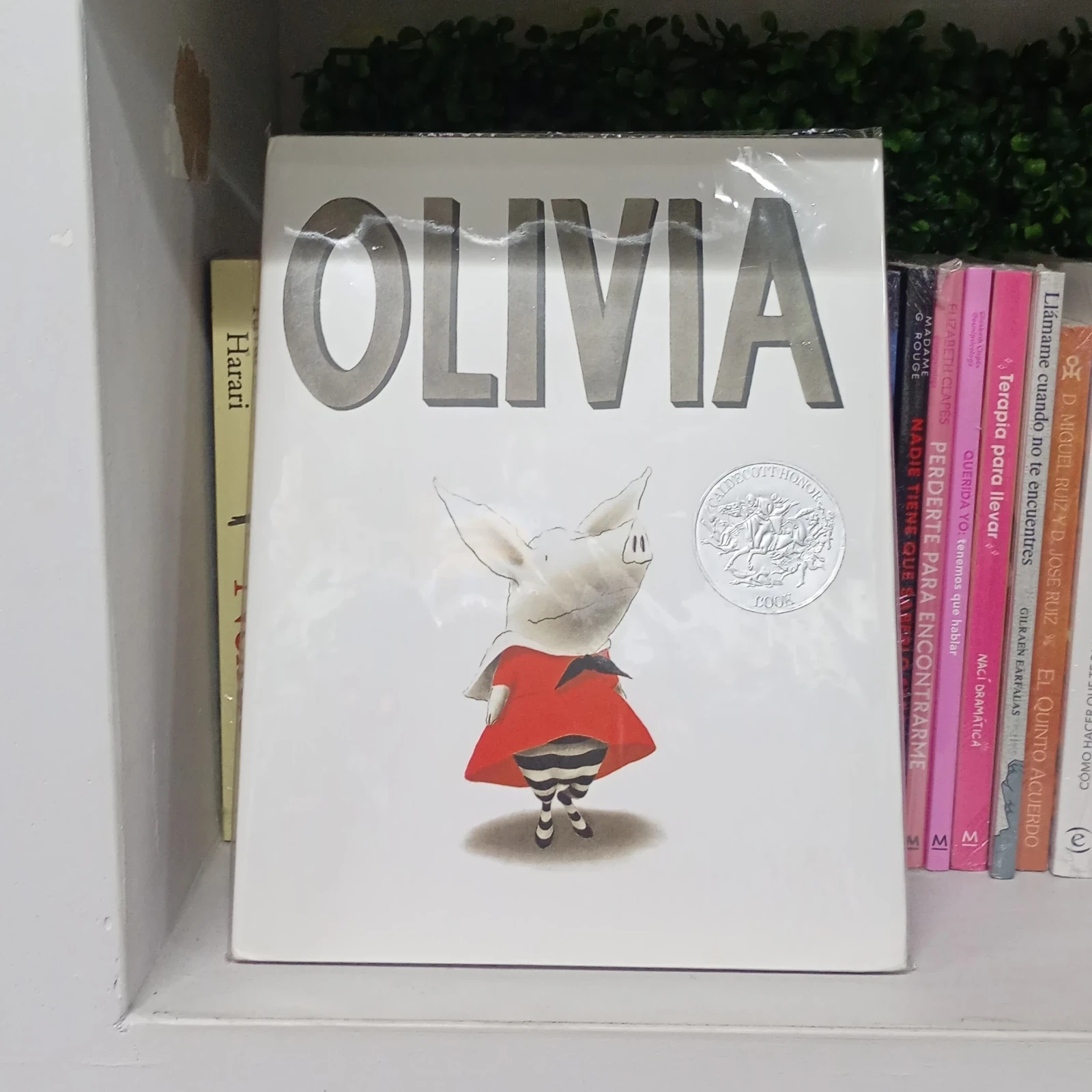 Olivia — Ian Falconer (Edicion en inglés)