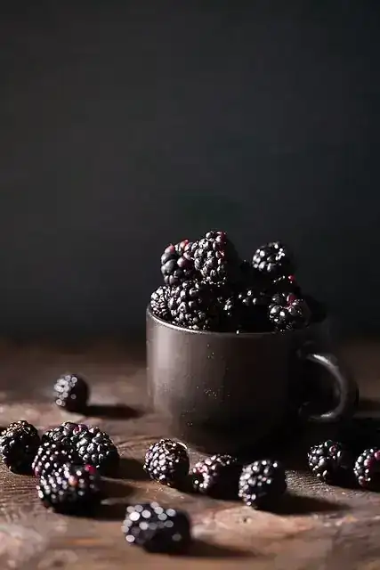 MORA