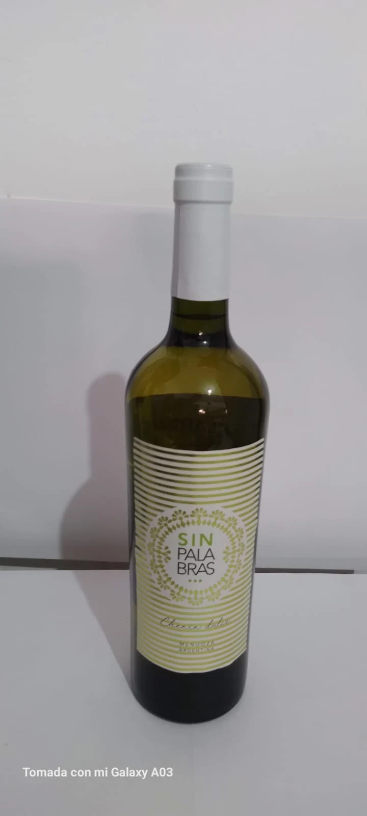 Sin palabras Chenin 