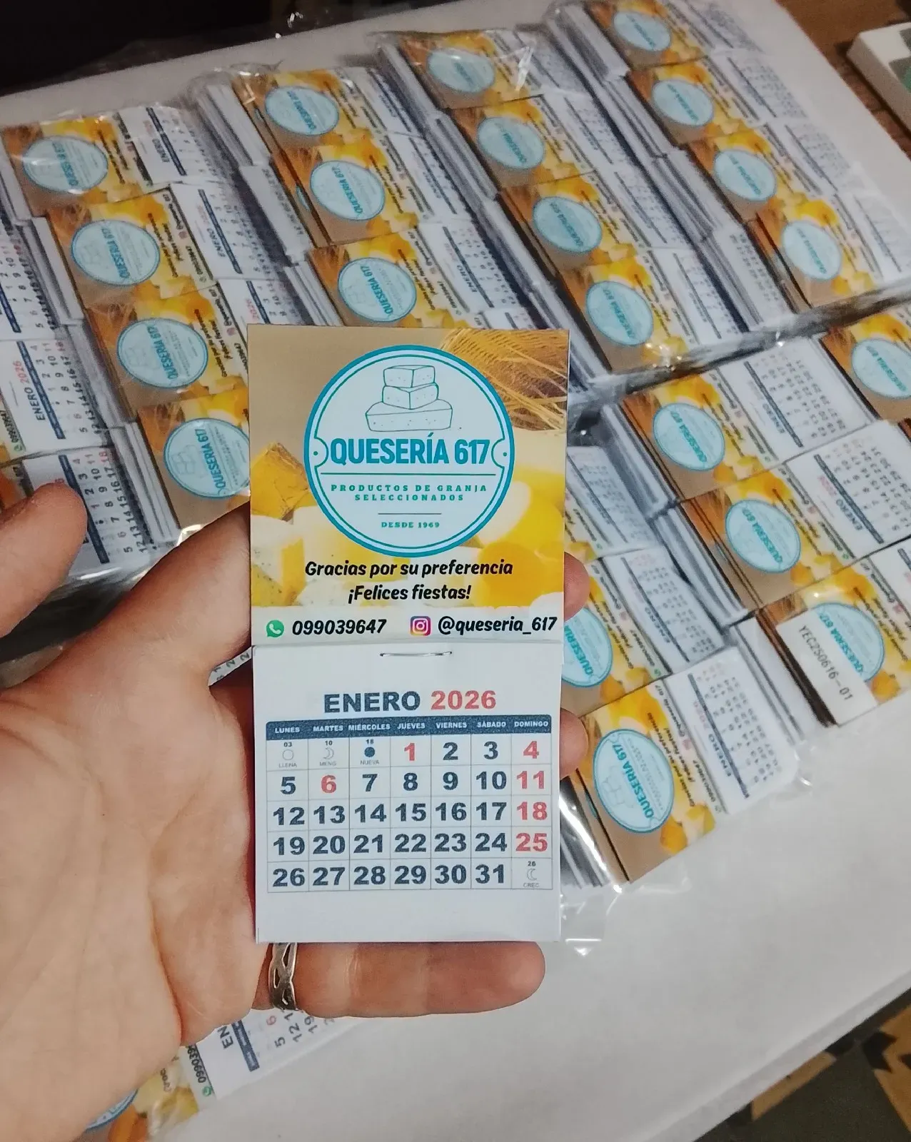 Calendario imán con libreta pack por 10 unidades  4