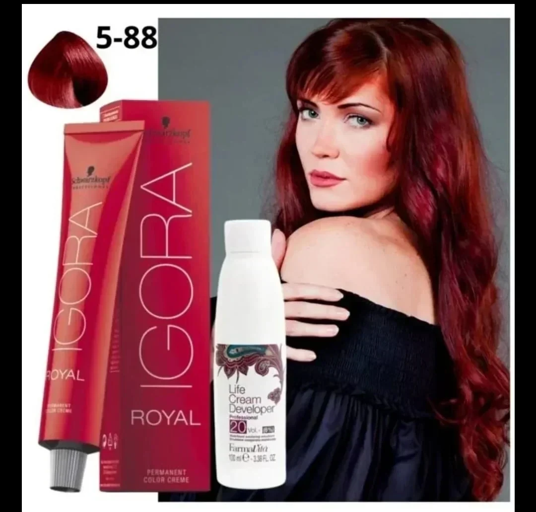 igora 5.88 tinte castaño claro rojo intenso