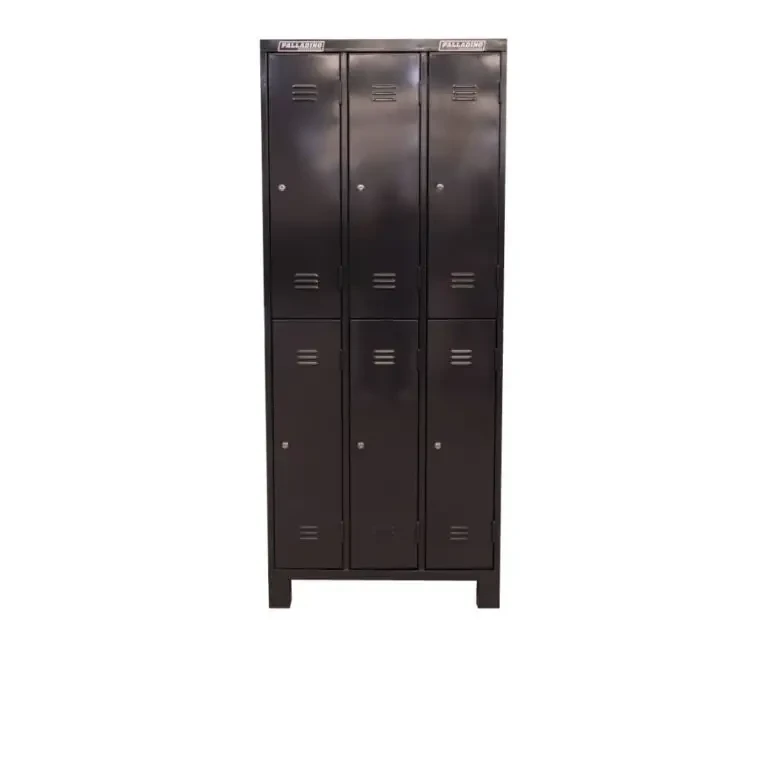 Locker de 6 puertas