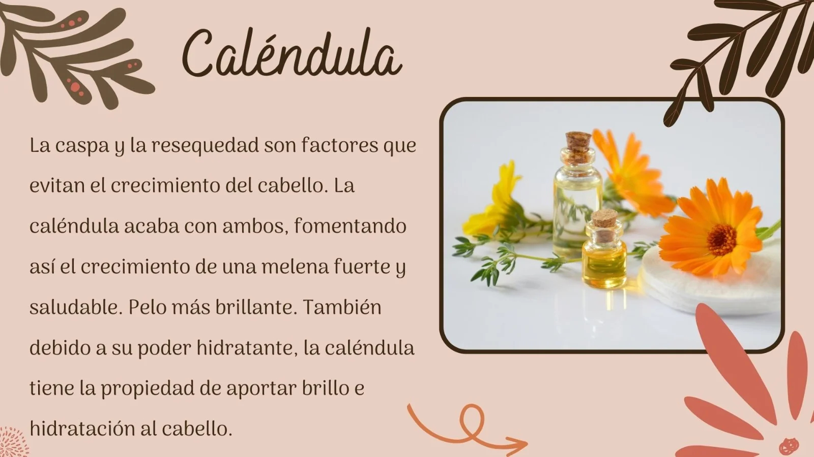 Tónico Capilar 8