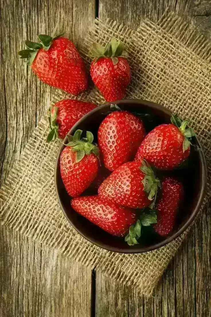 FRESAS/ PRIMERA