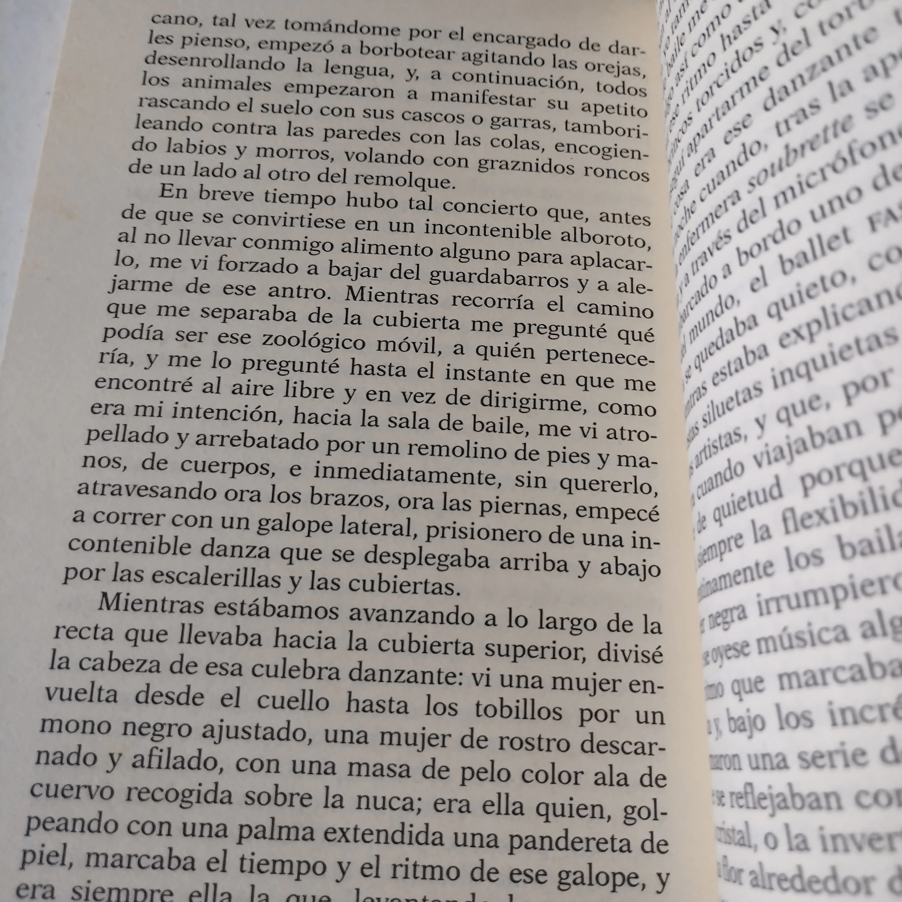 La cabeza en las nubes, Susanna Tamaro, usado  3