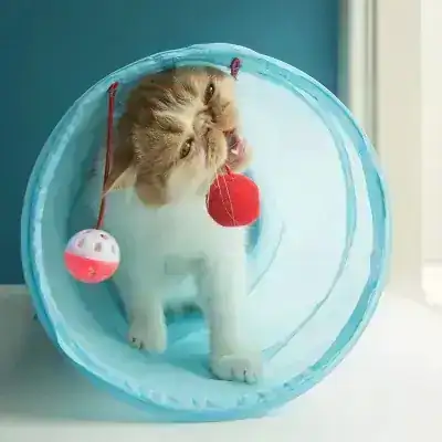 Tunel para mascotas  3