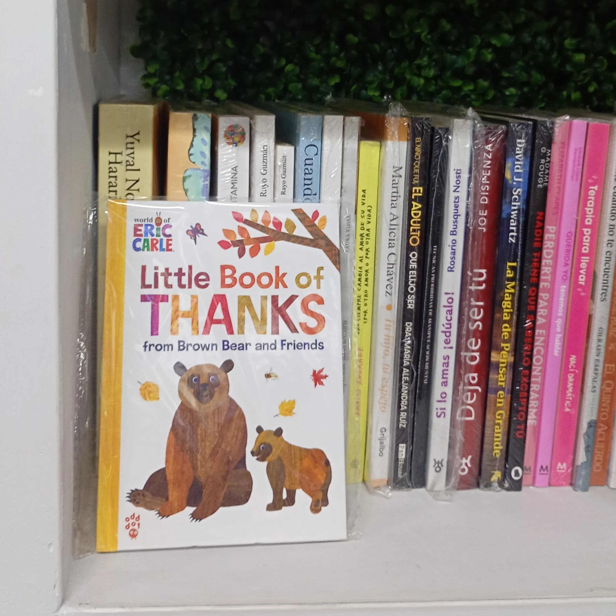 Little book of thanks