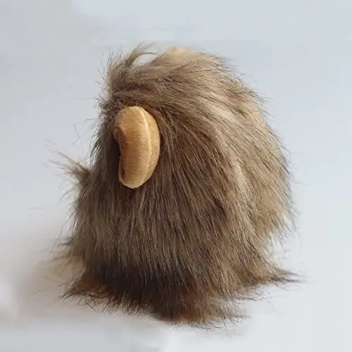 PELUCAS DE LEON 2