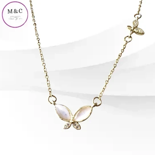 collar acero inoxidable  4