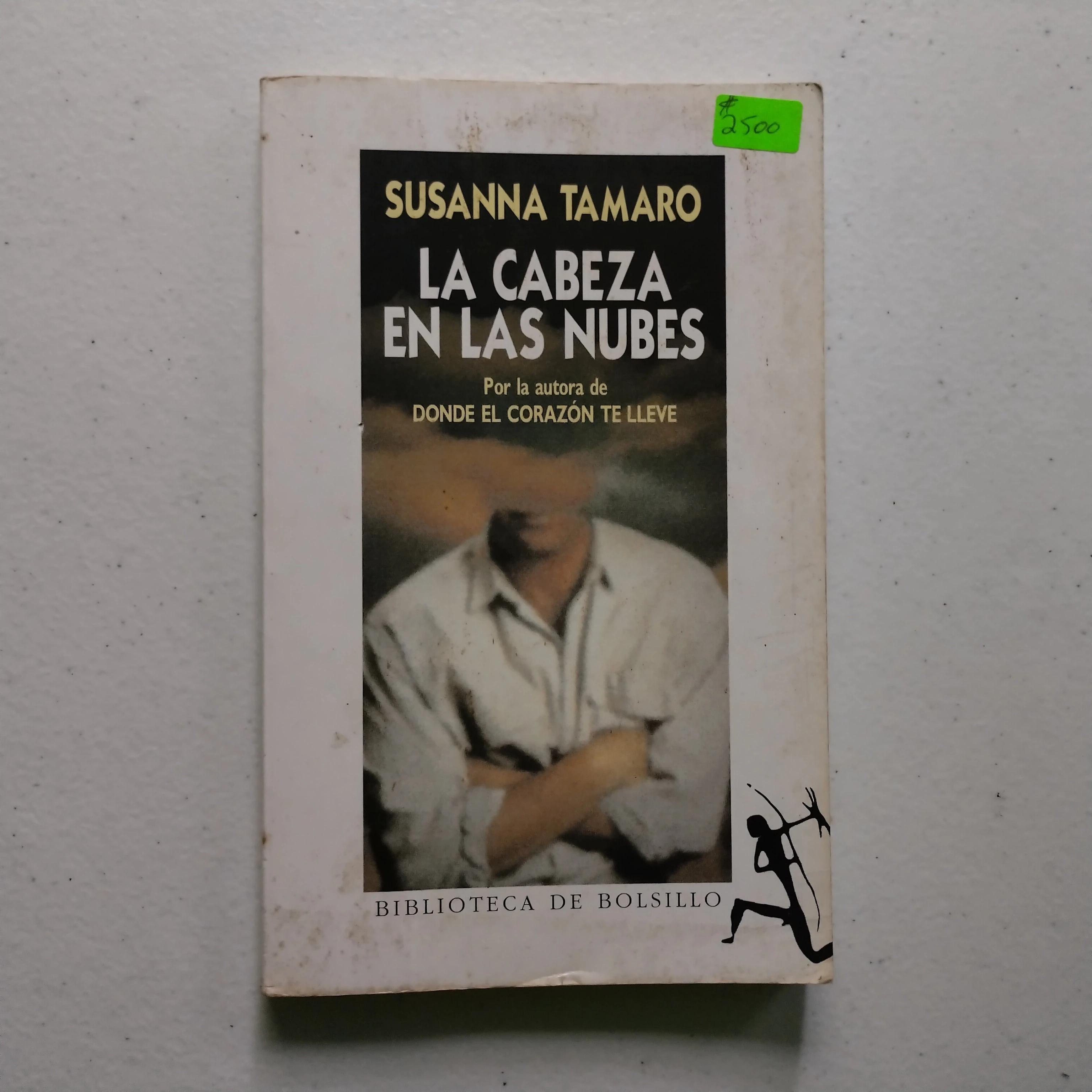 La cabeza en las nubes, Susanna Tamaro, usado 