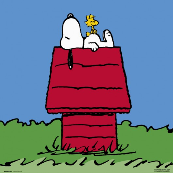 Calcetas: Snoopy