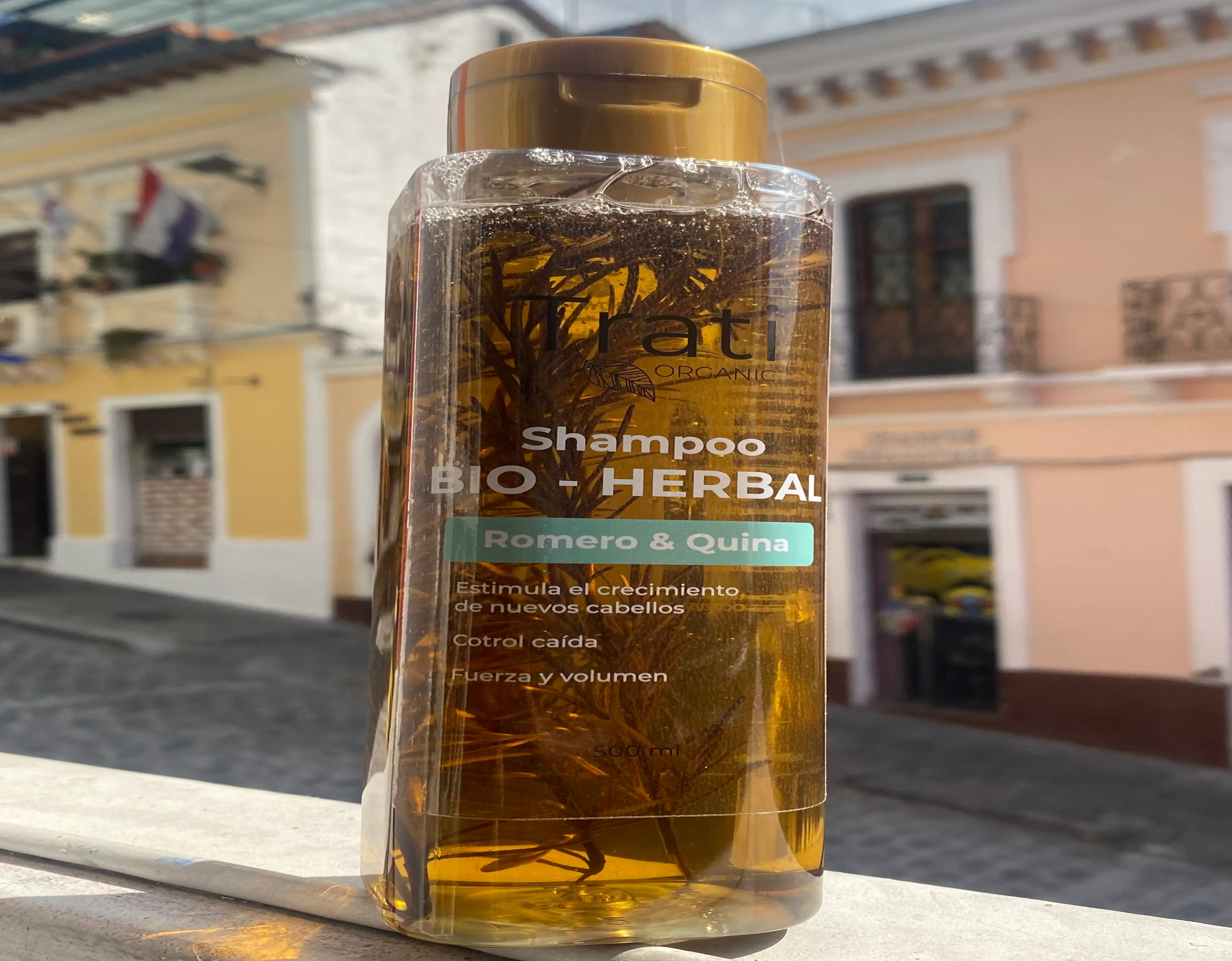 Shampoo Romero y Quina