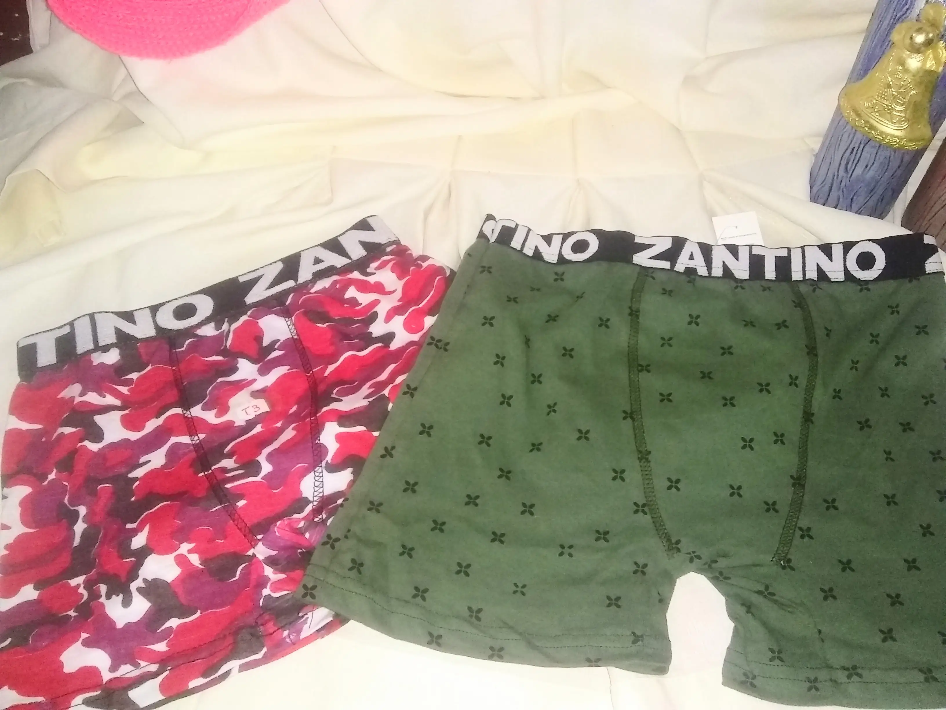 Boxer zantino x12  2