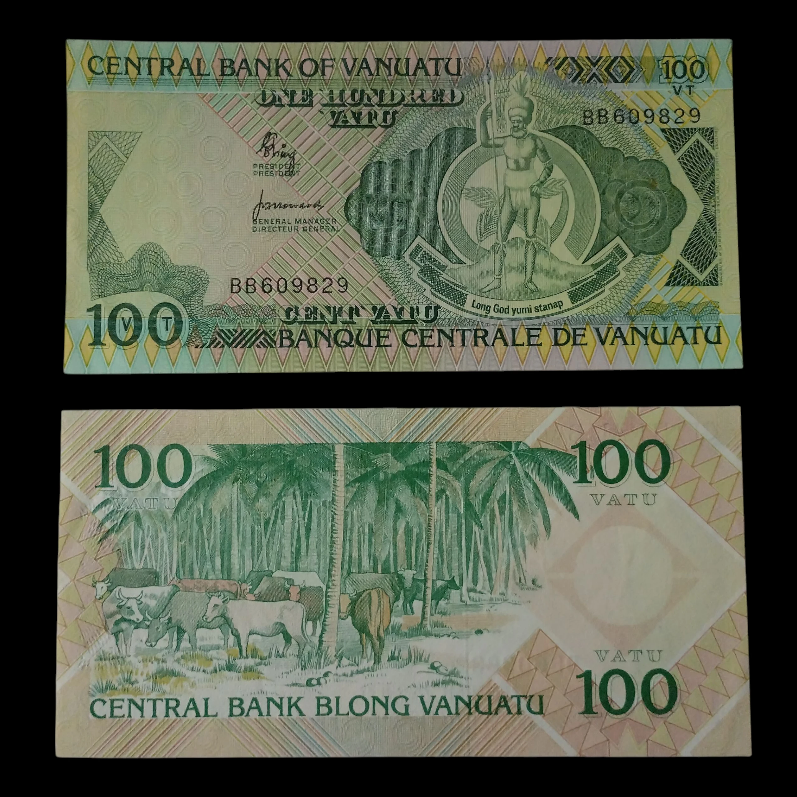 • Vanuatu 100 vatu UNC 