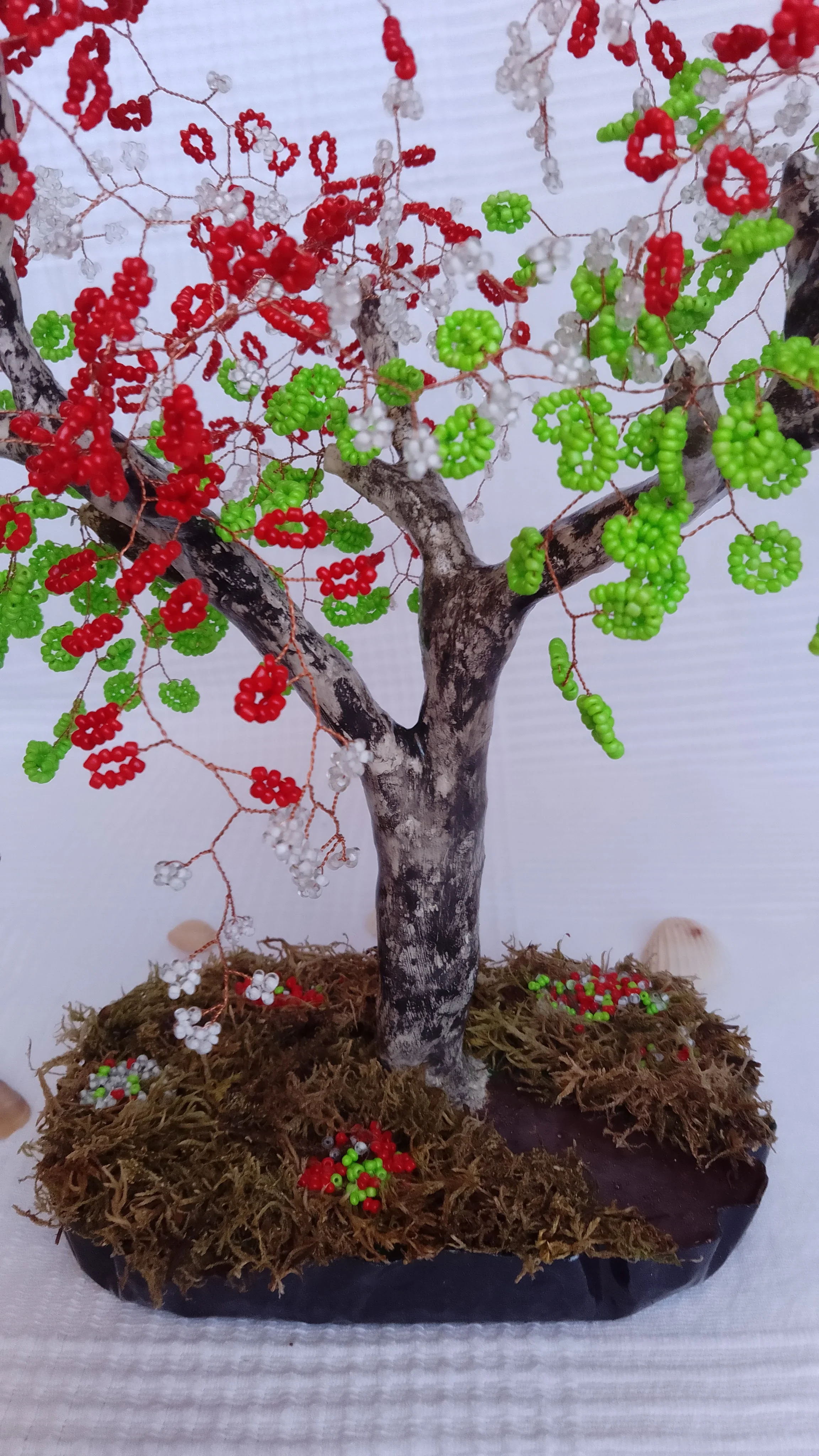 Bonsai Primavera roja 8
