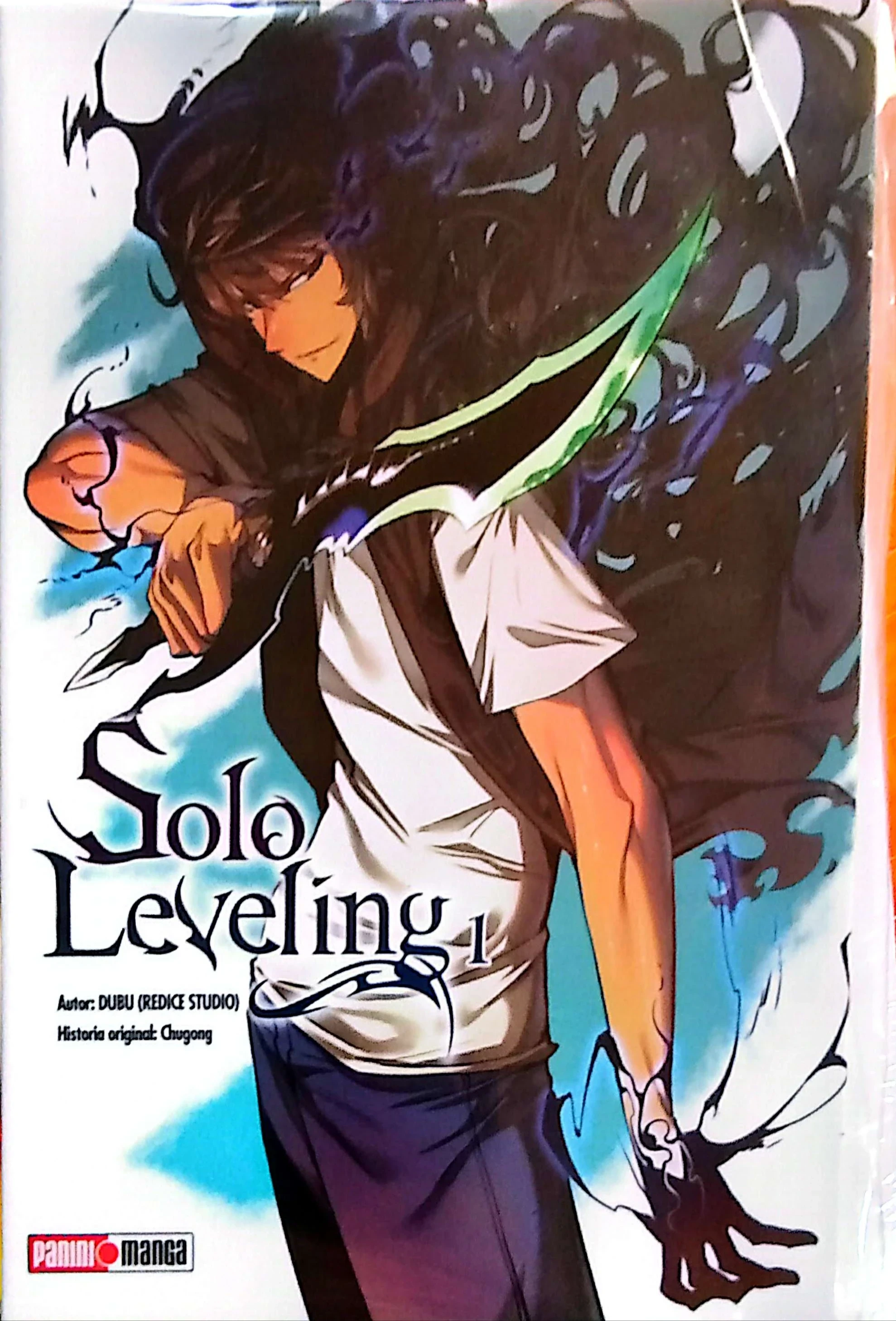 SOLO LEVELING 1 