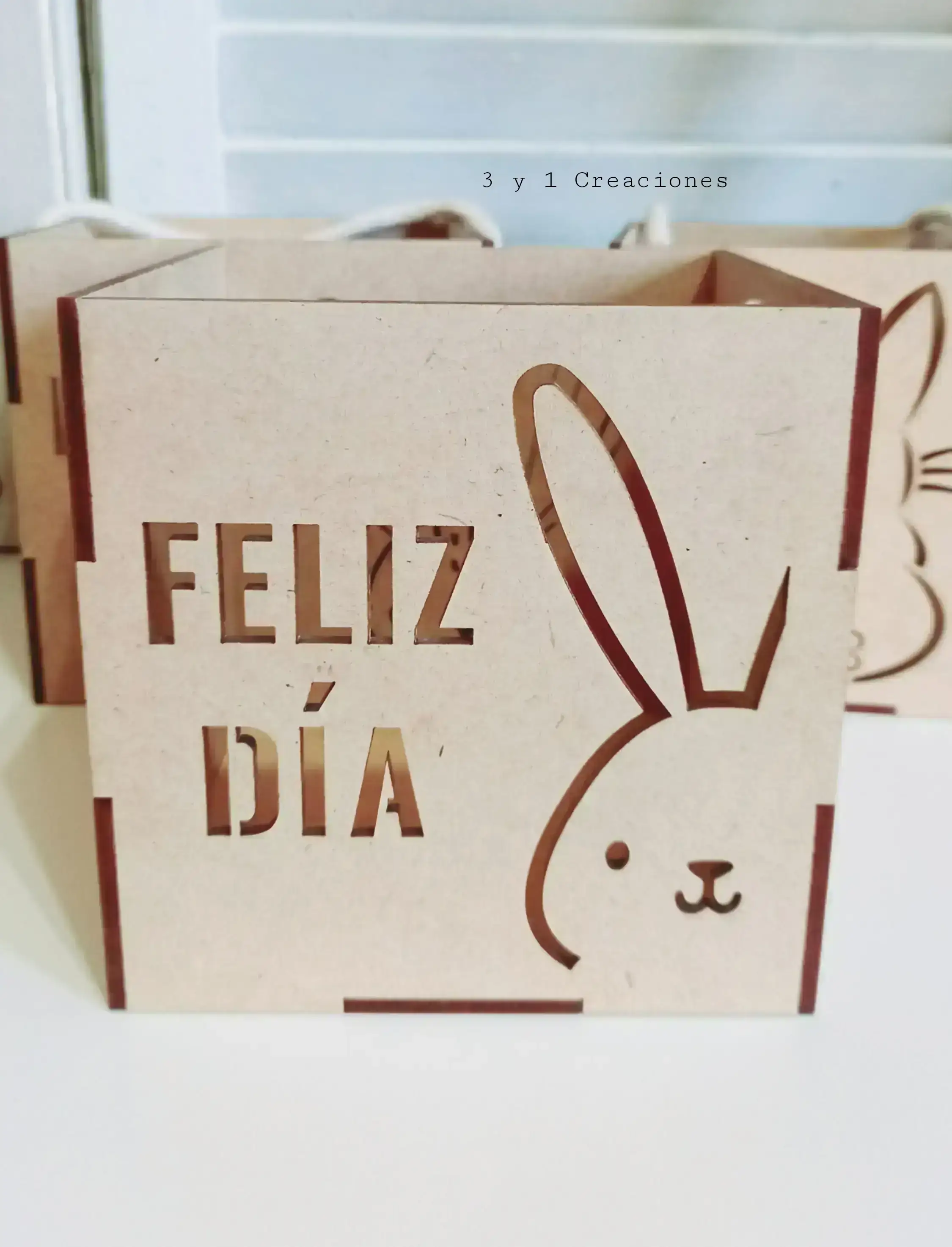 CAJA CALADA 2 CARAS 12 CM 3