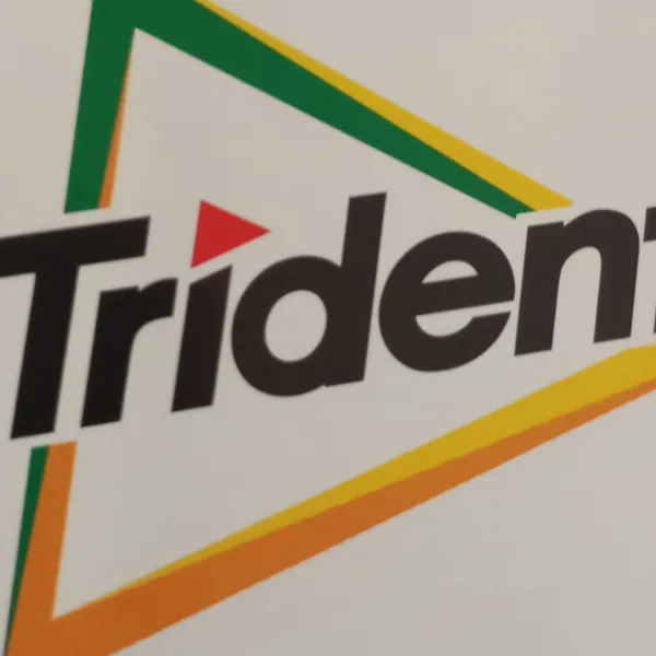 TRIDEN
