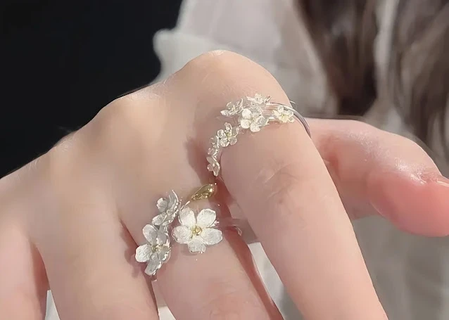 ANILLO