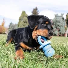 Kong Puppy Binkie Small celeste 2