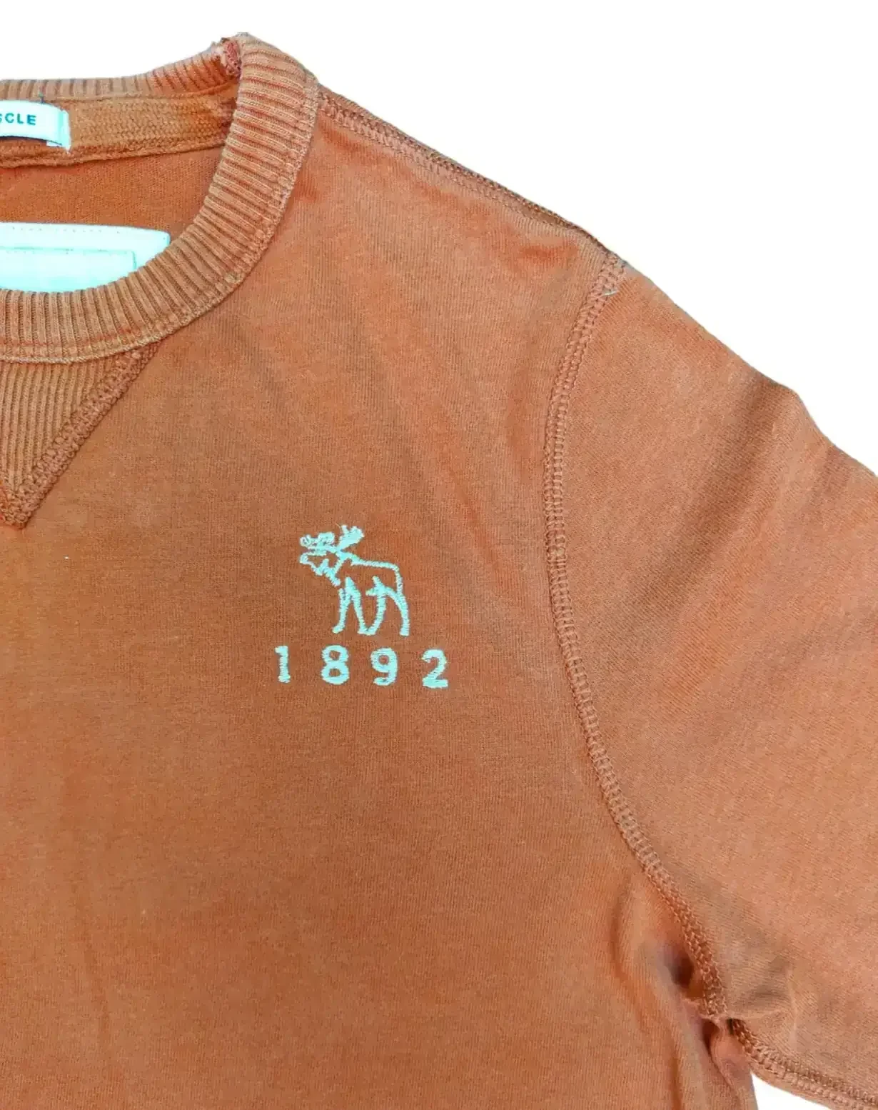 ♻️ ABERCROMBIE L/NIÑO 3