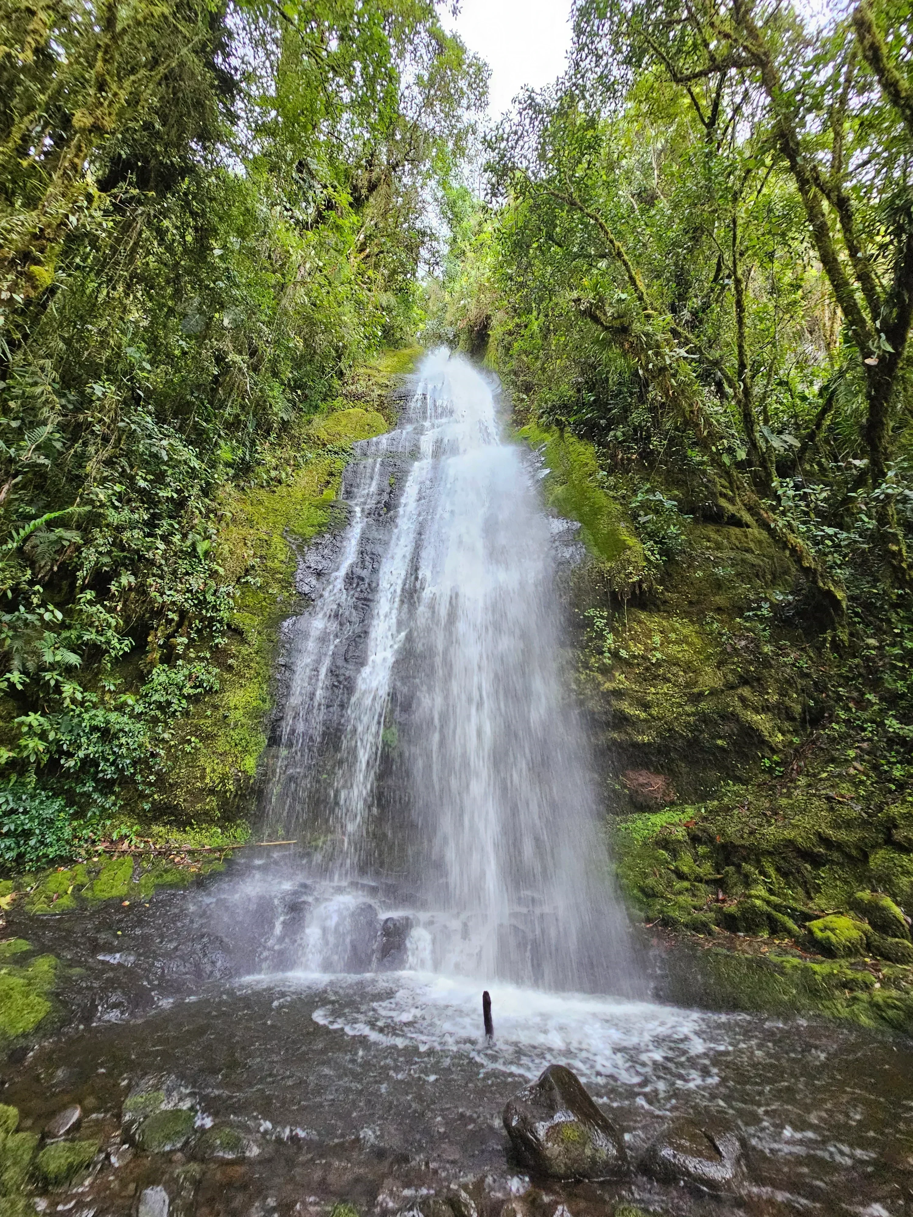 JARDÍN Y AVENTURA EN PASA DIA 5