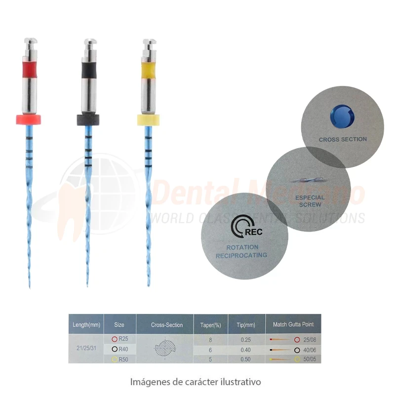 LIMAS RECIPROCANTES ONLY ONE FILE BLUE NITI X6 - EASYDENT