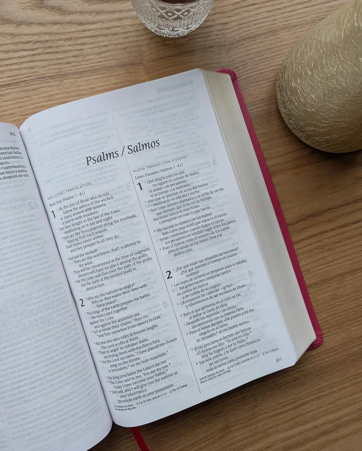 Bilingual Bible NLT/NTV Imit piel rosa floral 2