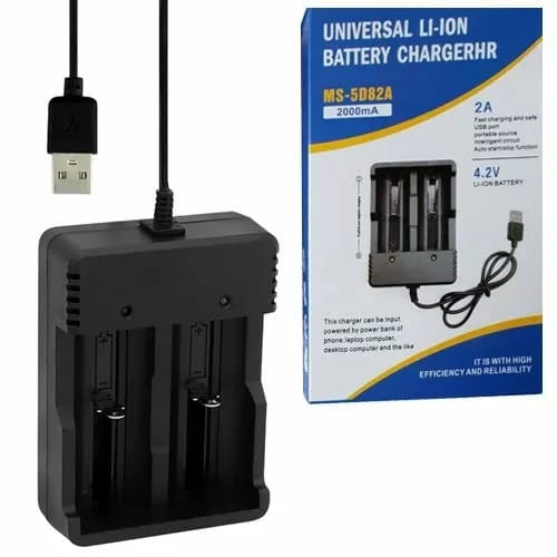 Cargador de pilas recargables 