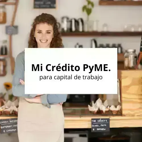 Mi Crédito PyME
