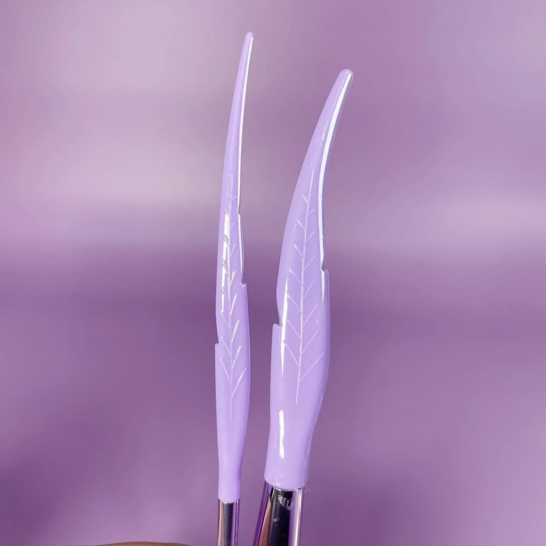 PAQUETE BROCHAS PLUMA X⁵ 2