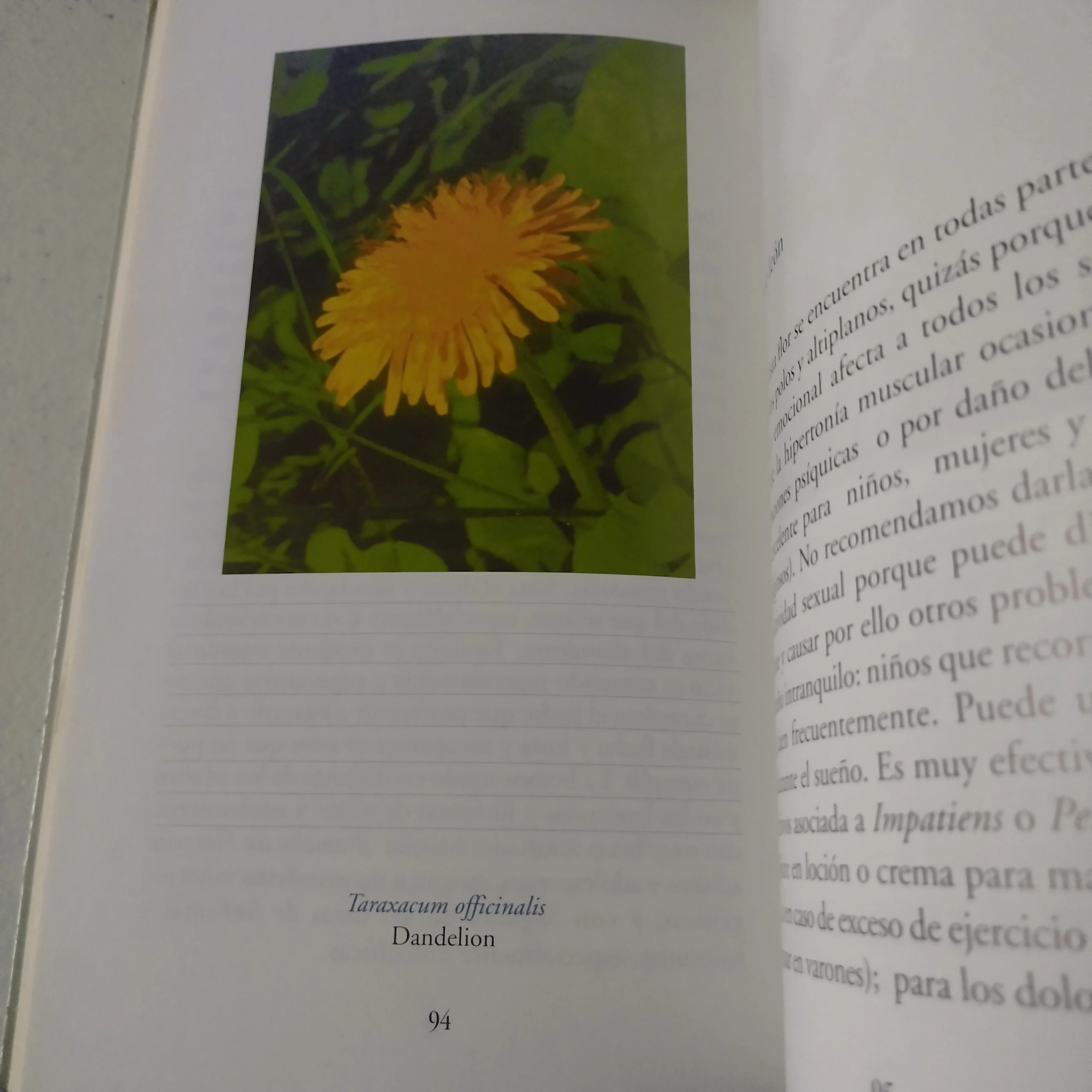 Uso terapéutico de las esencias de flores y orquídeas de Venezuela  3