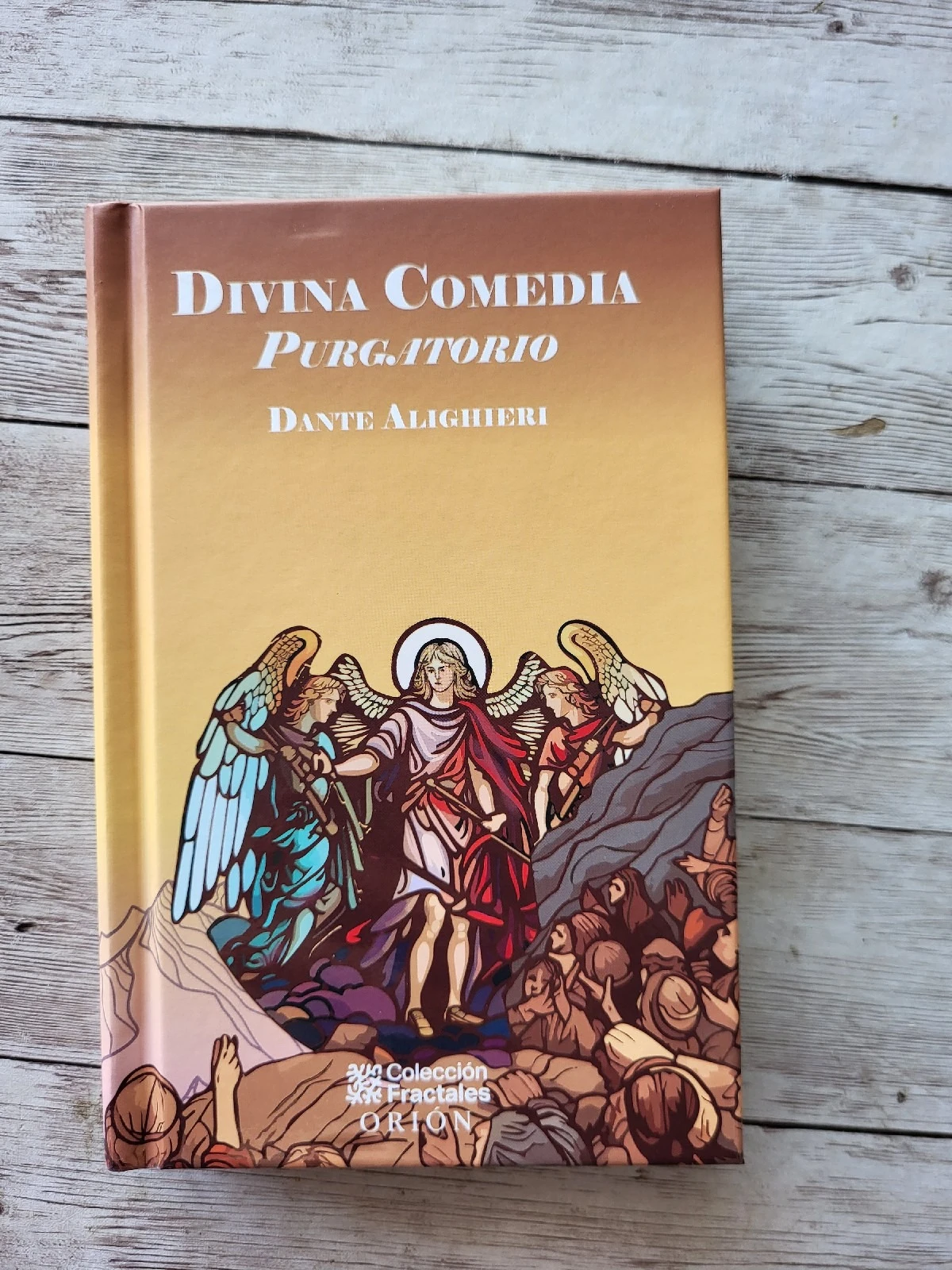 Divina Comedia Purgatorio / Dante Aliguieri / Clasicos