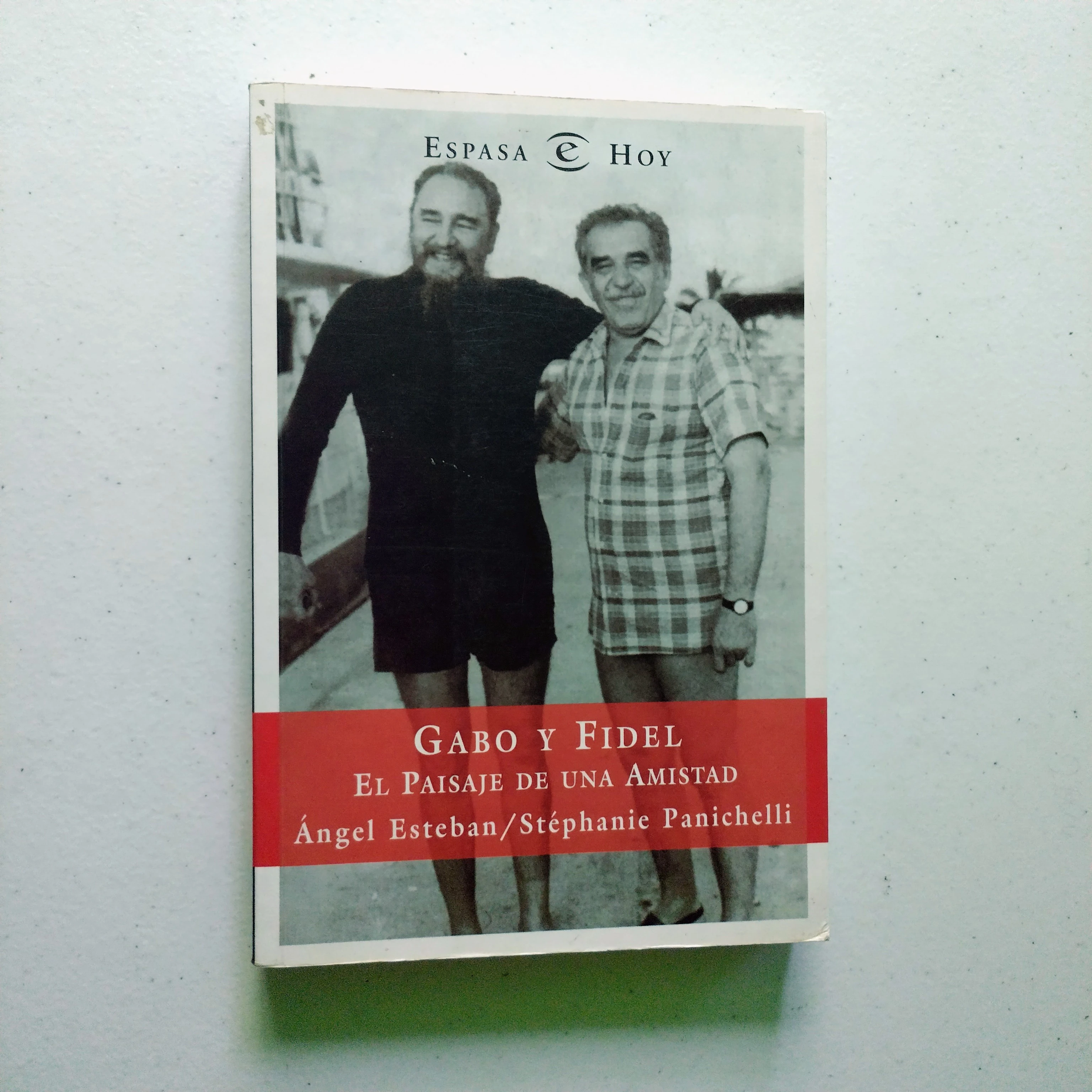 Gabo y Fidel, paisaje de una amistad, Angel y Stepanie Panichelli, usado 