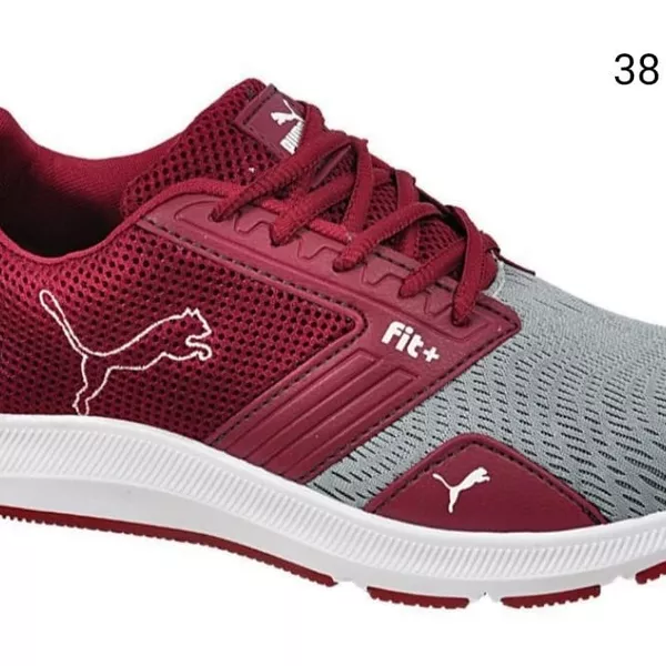 Puma  3