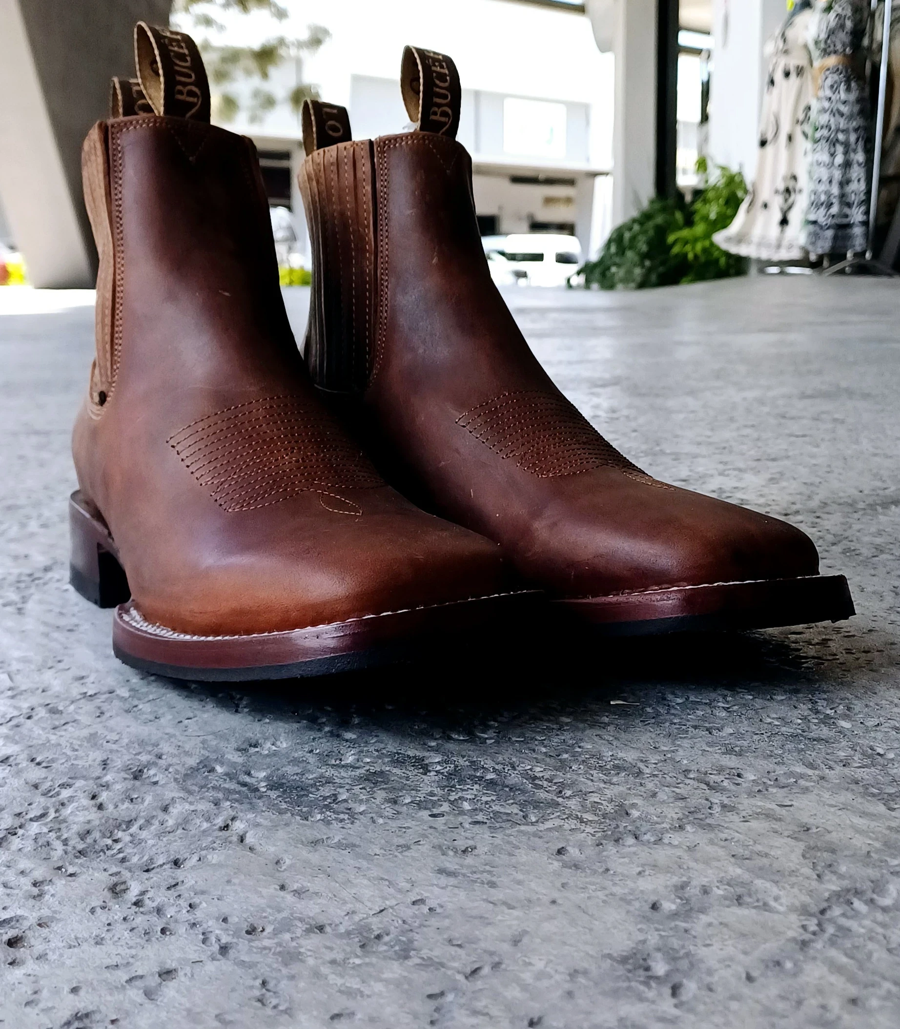 BOTIN BUCEFALO