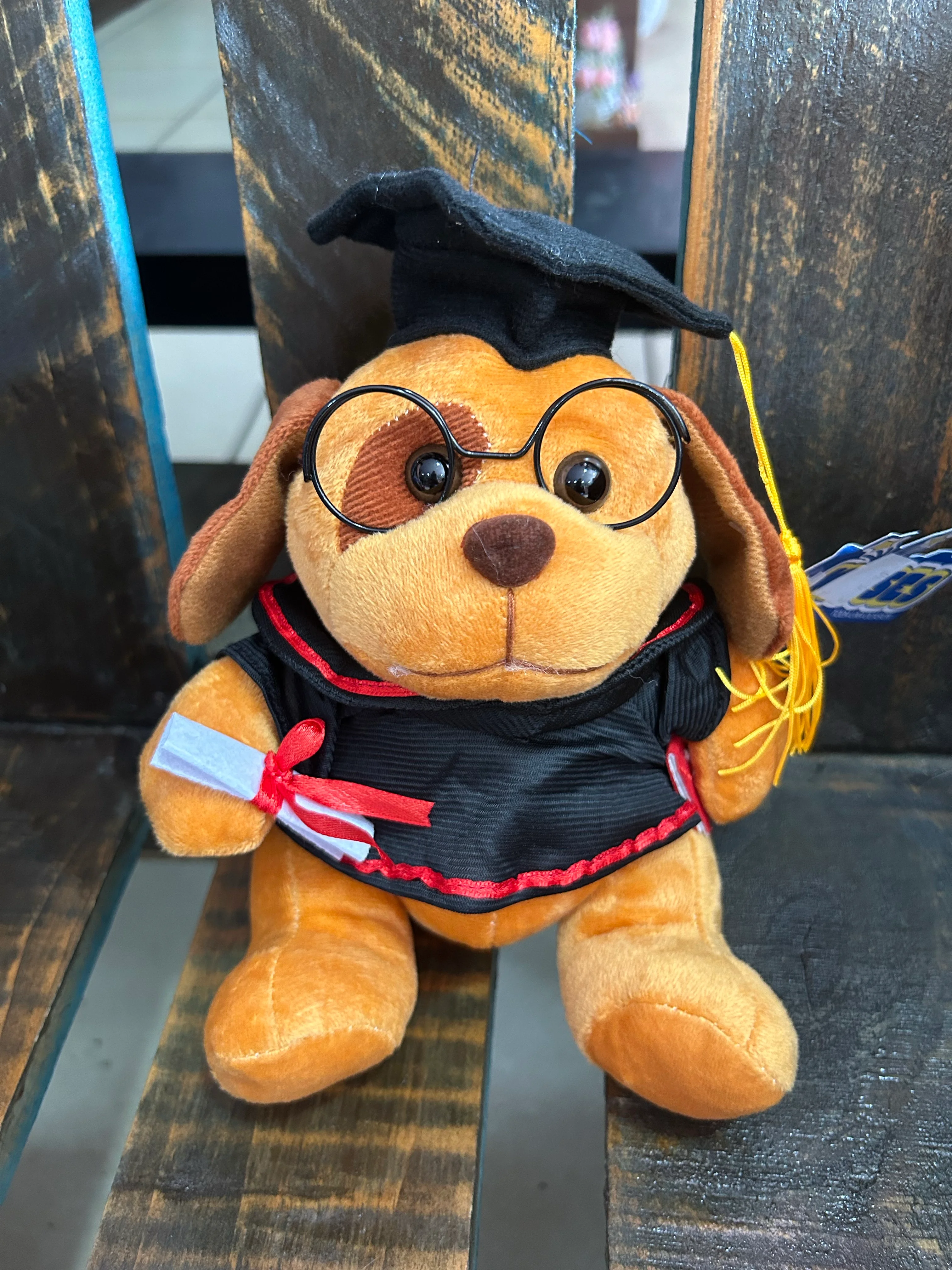 Peluche graduación 